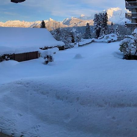 Apartament La Marmotte: Vue Mont Blanc, Terrasse, Parking Combloux Zewnętrze zdjęcie