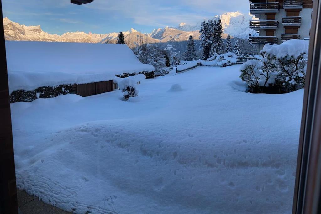 Apartament La Marmotte: Vue Mont Blanc, Terrasse, Parking Combloux Zewnętrze zdjęcie