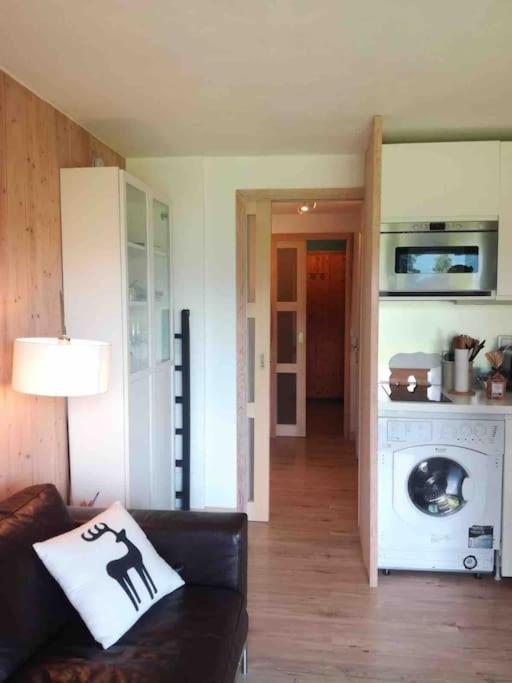 Apartament La Marmotte: Vue Mont Blanc, Terrasse, Parking Combloux Zewnętrze zdjęcie